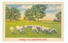 ARLINGTON,KANSAS-GREETINGS-SHEEP-LINEN-#3718-(KS-AMISC) picture
