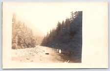 Postcard RPPC, Near Seattle, River & Forest, Washington Unposted picture