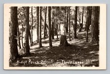 Three Lakes Wisconsin Ridge Point Resort Pine Woods Forest RPPC Vintage Postcard picture