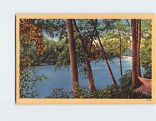 Postcard Lake and Nature Scene picture