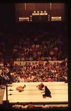 Bob Backlund Gorilla Monsoon Wrestling Pittsburgh WWF 35mm Slide 1980s picture