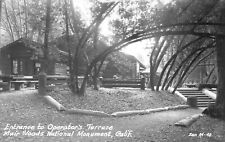 POSTCARD RPPC Entrance To Operator's Terrace Muir Woods National Monument CA picture