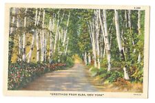 Vintage Postcard Greetings from Elba, New York PM 1946 CT Landscape Series picture