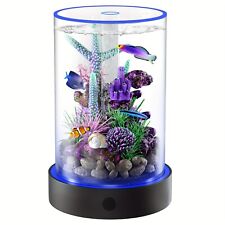 Simulated Ecosystem Fish Tank with Night Light, Desktop Decor picture