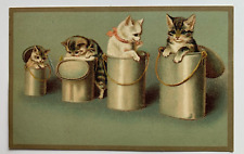 Vintage ca 1900s Postcard Cats Kittens in Tins Containers art picture