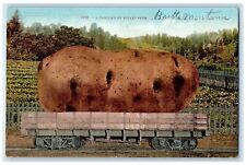 c1910s A Carload Of Exaggerated Potato From Brutte Montana MT Posted Postcard picture