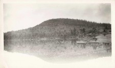 VTG Photo Lakeside Deforestation Tree Felling Lumber Operation picture