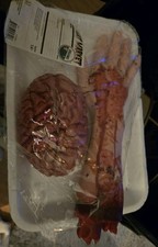 Halloween Body Parts Props, Bloody Fake Severed Arm Realistic Brain picture