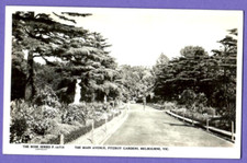 AUSTRALIA THE MAIN AVE., FITZROY GARDENS, MELBOURNE, VIC VINTAGE PHOTO 7568 picture