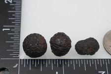 Tibetan Trifecta - 17g - Pyrite Concretion (Highest Plateau Shaman) #bhx17 picture
