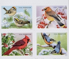 🐦 SHEET OF 20 FIRST CLASS LETTER "SONGBIRDS IN SNOW" picture