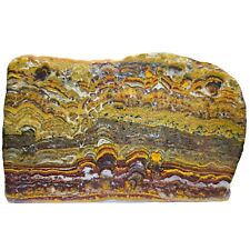Rare Large Polished Stromatolite Fossil, Apple Valley Jasper, Morocco, 467g picture