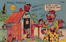 Vintage Privacy Preferred 1930's Postcard Owls Hooting At Man Using Outhouse picture