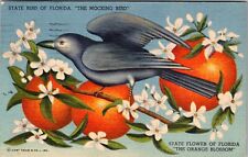FL-Florida State Bird & Flower Mocking Bird Orange Blossom Linen c1955 Postcard picture