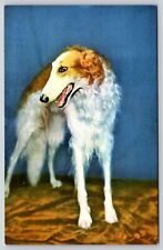 Postcard Barsoi Borzoi Dog Breed  Russian Hunting Sighthound picture
