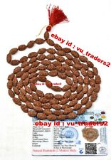 2 Mukhi Rudraksha Mala / Two Face Rudraksh Rosary 108+1 Beads Java Lab Certified picture