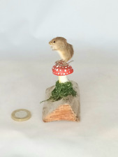 Taxidermy Tiny Harvest Mouse. Log no 295. On Artificial Mushroom. Small Mammal. picture