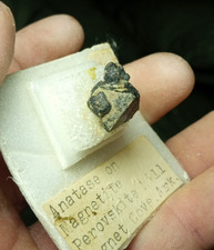 Old Collection Anatase Crystal on Magnetite Magnet Cove Arkansas Perovskite Hill picture