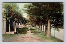 Fenton MI-Michigan, Cases Island, Long Lake, Antique, Vintage c1909 Postcard picture