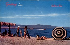 SCARCE Salton Sea California beach inland sea below sea level vintage postcard picture