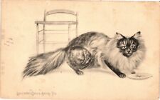 CAT Long Haired Angora Tom Cat SMOKE Antique c1911 Postcard picture