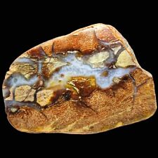 Septarian Chert Concretion, Polished Half Nodule, 2.5 Billion Years Old, 625g picture