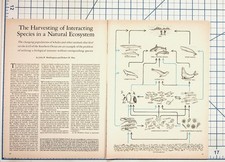 1970s Whaling & Krill Ecology Article Pages Southern Ocean Marine Biology picture