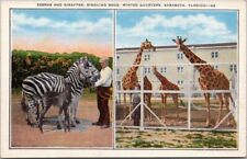 Sarasota, Florida Postcard 