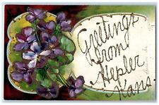 c1920s Greetings From Hepler Kansas KS Unposted Embossed Flowers Leaves Postcard picture