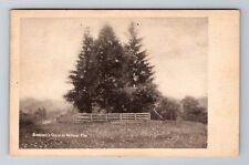 Farmington PA-Pennsylvania, Gen Braddock's Gravesite, Vintage c1910 Postcard picture