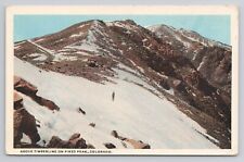 Postcard Above Timberline On Pikes Peak Colorado picture