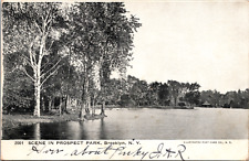 Vintage 1906 Lake Scene in Prospect Park Brooklyn New York NY Postcard picture