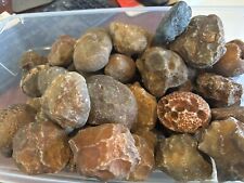 ROCK DADDY SPECIAL- 1 Pound of Botswana Agate Nodules. Rough Full Skin Nodules picture
