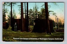 Seattle WA-Washington, University of Washington Campus, Vintage Postcard picture
