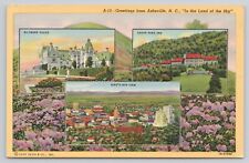 Greetings from Asheville NC North Carolina Biltmore House Multiview Postcard picture
