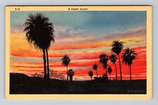 Scenic Panoramic View Desert Sunset, Antique Vintage Postcard picture