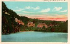 Lexington KY Kentucky River Bluffs Vintage Postcard picture