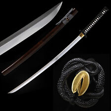 Polished Japanese Samurai Sword Katana 9260 Spring Steel O-Kissaki Razor Sharp picture