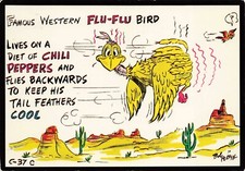 Western Flu Flu Bird Vintage Petley Comic Continental Postcard Posted 1993 picture