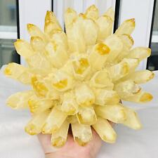 New Find Yellow Phantom Quartz Crystal Cluster Mineral Specimen Healing 3886G picture