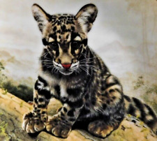 The Clouded Leopard Cub Plate Art ~Charles Frace' Nature's Lovables Large Cats picture