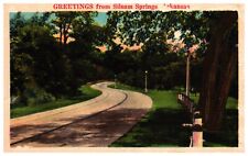 Greetings From Siloam Springs, Arkansas Vintage Linen Postcard UNPOSTED picture