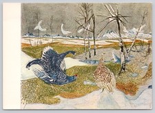 Postcard Art Black Grouse Mating Display 75W picture