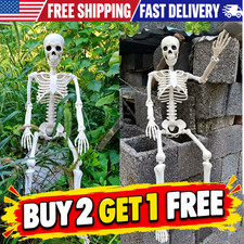 Halloween Human Skeleton Oversized Poseable Size Life Decoration Party Prop 40 picture