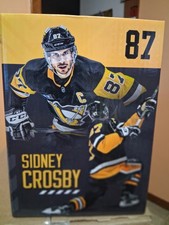Pittsburgh Penguins Sidney Crosby Bobblehead Collectible 23/24. picture