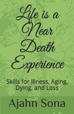 Life is a Near Death Experience: Skills for Illness, Aging, Dying, and Loss picture