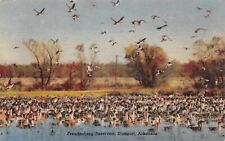 Stuttgart Arkansas Freudenberg Reservoir Birds in Flight  Linen Postcard picture