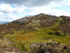 Photo A3 Boggy patch on Screel Hill Gelston/NX7658 The prevalence of he c2013 picture