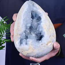 13.64LB Natural Blue Celestite Crystal Geode Quartz Cluster Mineral Specimen picture