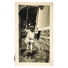 Little Girl on Rope Swing Snapshot 1920s Backyard Play & Shadow Photo A3473 picture